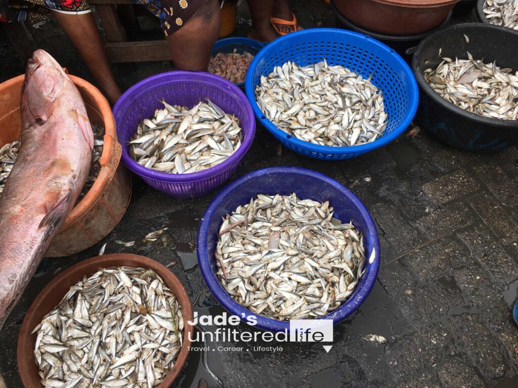 makoko fish market jade's unfiltered life 04
